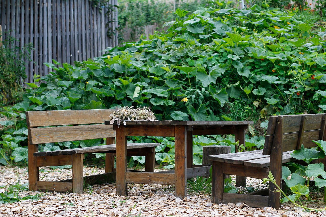 garden, garden bench, green-2745377.jpg